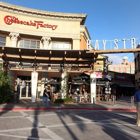 La Casita Of Raymond James Stadium Διαμέρισμα Τάμπα Εξωτερικό φωτογραφία